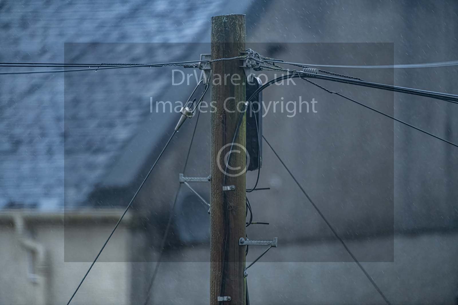 Telephone pole in rain