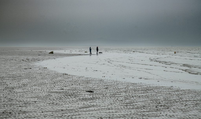 Sandhead beach dog walk weather mull of Galloway