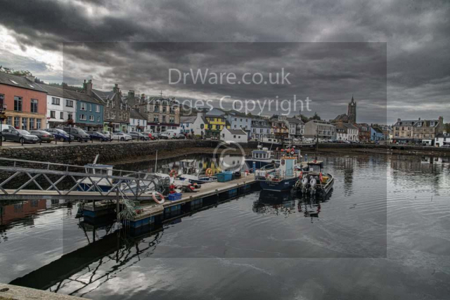 Tarbert Harbour Argyle and Bute Scotland United Kingdom