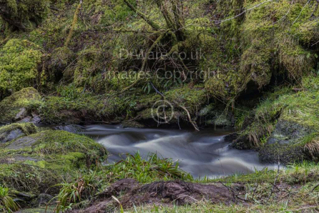 Cornalees nature trail Greenock Inverclyde Scotland United Kingdom