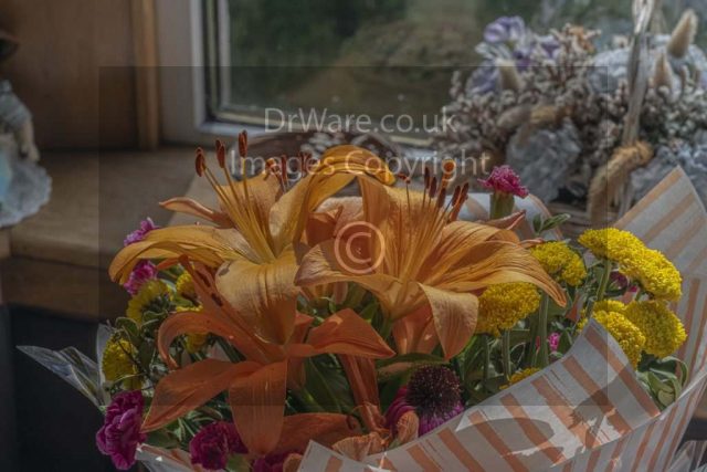 Flowers front lounge home