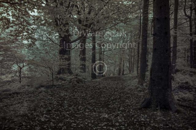 Daff Glen Inverkip Inverclyde Scotland United Kingdom