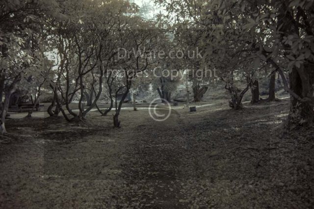Darroch Park Gourock Inverclyde Scotland United Kingdom