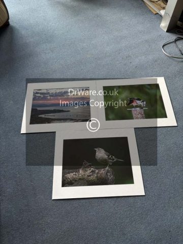 Bit of printing today