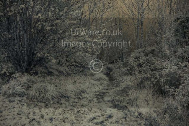 Tower Hill Today Gourock Inverclyde Scotland United Kingdom