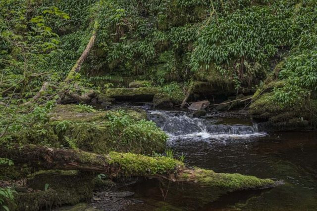 Inverkip Daff Glen Inverclyde Scotland United Kingdom
