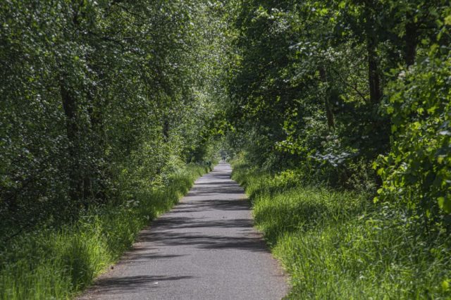 Kilmacolm Cycle Path Inverclyde Scotland United Kingdom