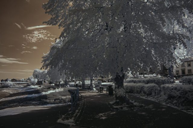 Infored Cove Road Gourock Inverclyde Scotland United Kingdom