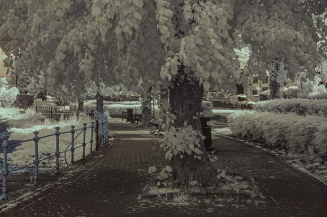 Cove Road Gourock Cardwell Bay Inverclyde Scotland Clyde United Kingdom