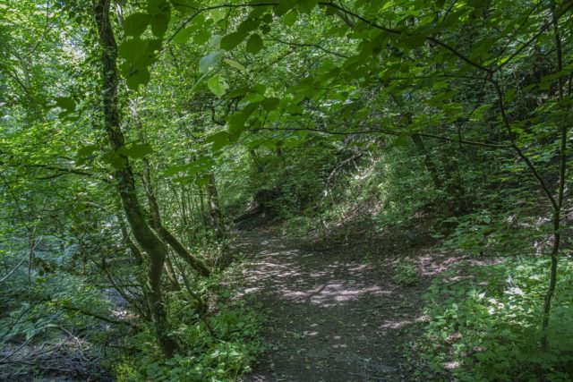 Daff Glen Inverkip Inverclyde Scotland United Kingdom