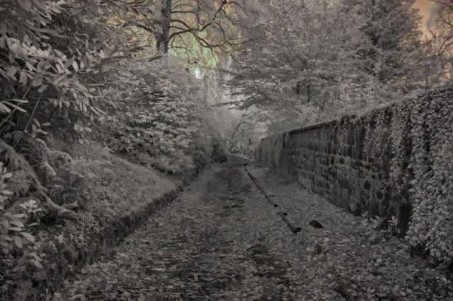 Darroch Park Gourock Inverclyde Scotland United Kingdom
